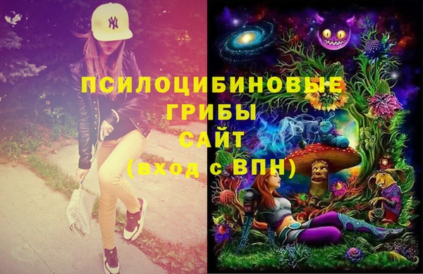 MESCALINE Аркадак