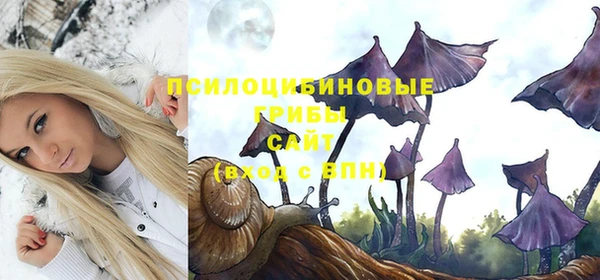 ешки Арсеньев