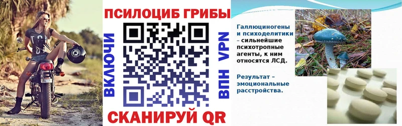 сколько стоит  гидра вход  Галлюциногенные грибы Psilocybine cubensis  Белая Холуница 